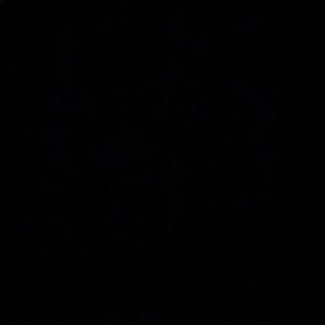 Meet your Posher, Shyla